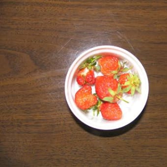 植物アラカルト