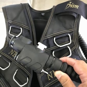 Bismビーイズム　ネレウスBCバージョンJの優れた点（推せるBC）