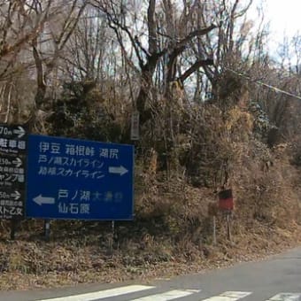 新春スカイラインドライブ