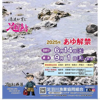 足羽川漁協の鮎パンフレットとポスター