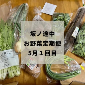 お久しぶりのお野菜定期配送を再開