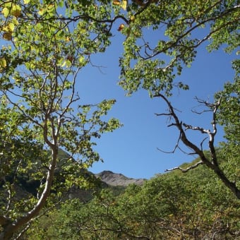 山と風景印　中央アルプス・南アルプス（２）　仙丈ヶ岳