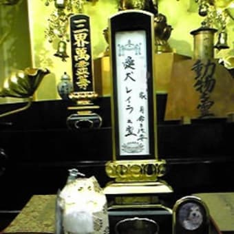 15周忌