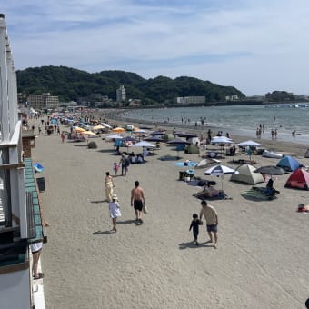 逗子海水浴場の様子