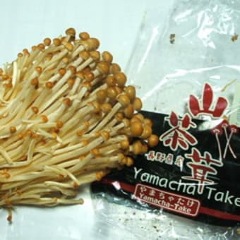 山茶茸ってご存じ お鍋の中から 山茶茸ってご存じ お鍋の中から
