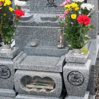 仕方なし、これも定め