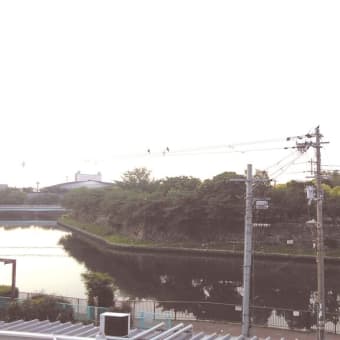661   花は散りましたが　新緑　日の出も早くなりました　545JST