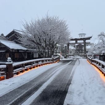 遅ればせながら・・今年もよろしくお願い申し上げます。
