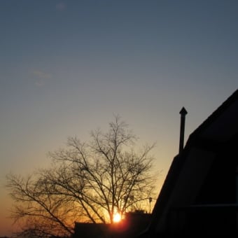 朝陽の定点撮影開始(*^。^*)