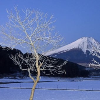 新年の富士山．２・忍野他