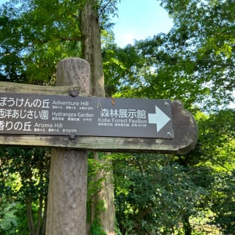 六甲山植物園