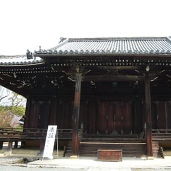 2011年4月24日(日)　仁和寺