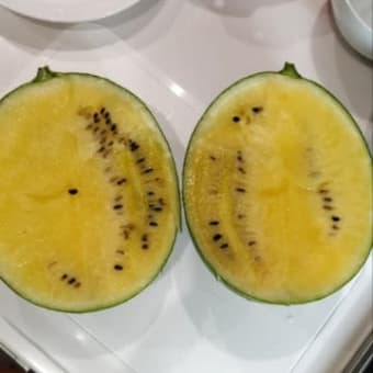 ２０２４春夏