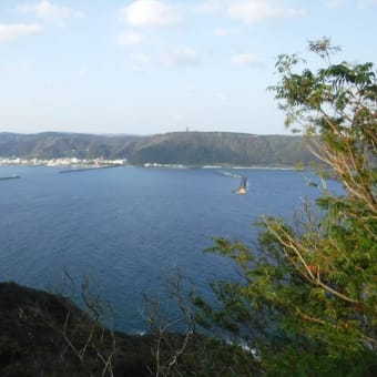 1月29日 奄美諸島歩き走り旅、奄美大島北部