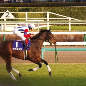 レース回顧＆現地レポート：有馬記念（2010）