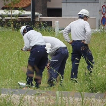 新ひろばゲートが開いて作業員／工事開始の事前調査か（地方庁舎跡）