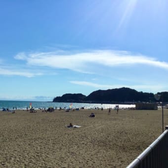 【 三浦半島1周 】　ライド2　126km
