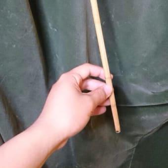 亜流？進化？
