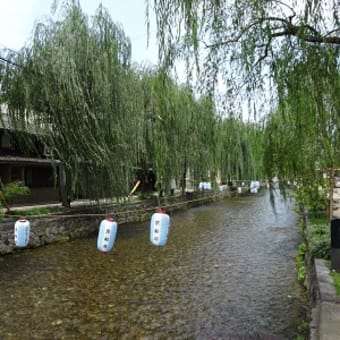 六道珍皇寺