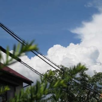 豪雨水害から梅雨（大阪）明ける