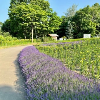 家族で訪れた､百合が原公園｡｡