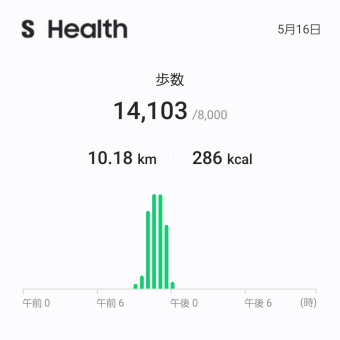 お散歩と風情。