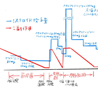 2ヶ月続いている入院中の治療及び状況について　part 1