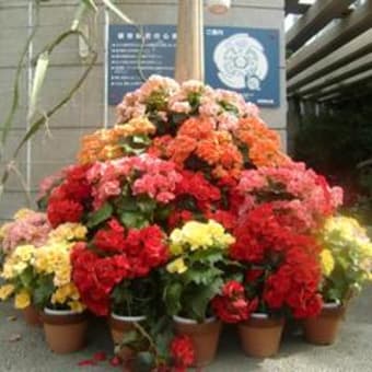 休暇の過ごし方