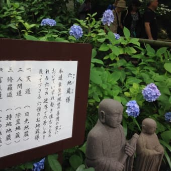 歩け歩け