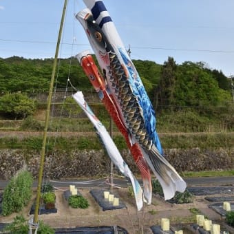 そろそろ寝よう、、、