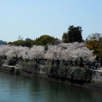 電気通信関係と無線従事者試験情報　～　広島平和記念公園の桜！