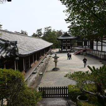 唐招提寺6月6日は鑑真和上の命日