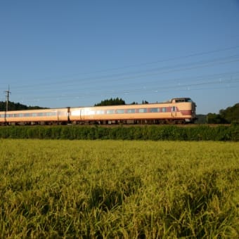 今日の381系「こうのとり」