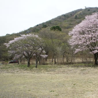 La卓球・・山・・