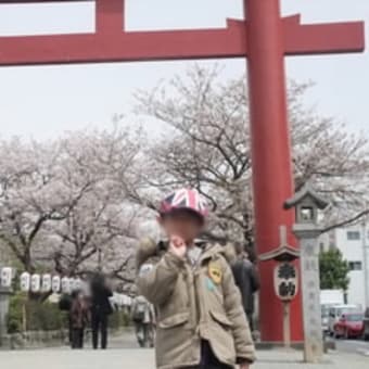 鎌倉さくら紀行