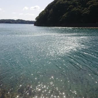 3月20日