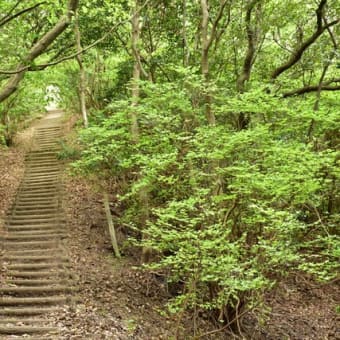 小岱山花散策