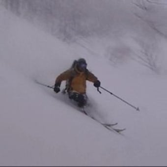 GOTAMAについて少し考えてみた - 自然の慣性に身をまかせて GOTAMAについて少し考えてみた - 自然の慣性に身をまかせて