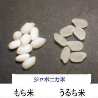 平成 米 騒動