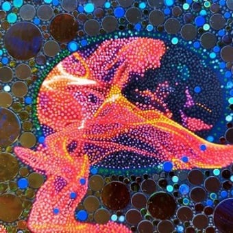 1画素の世界