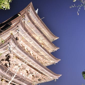 その２９