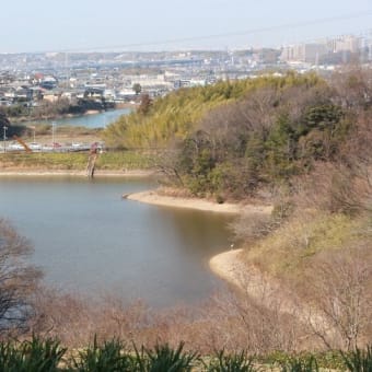 春の陽気のリサイクル公園　枝垂れ梅