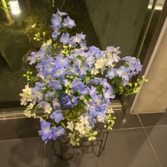 今週の花