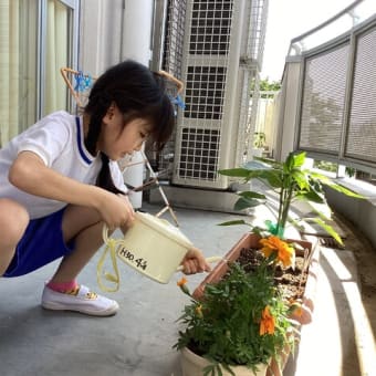 小学部４年　生活科「野菜を育てよう」