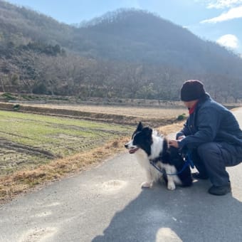 ありがとう