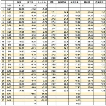 【ぐったり】ダイエット27日目の結果