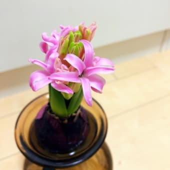 今だから楽しめる