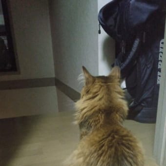 背中で語る