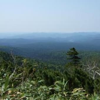大麓山山頂