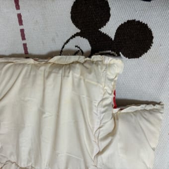 幼児用から犬用へ